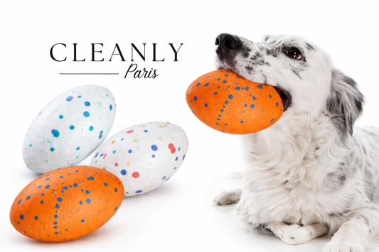 Balle de jeu résistante pour chien