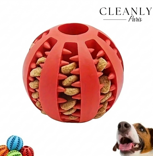 Balle Interactive et Distributrice de Friandises pour chien
