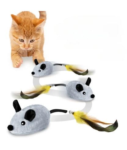 Souris Électronique Interactive