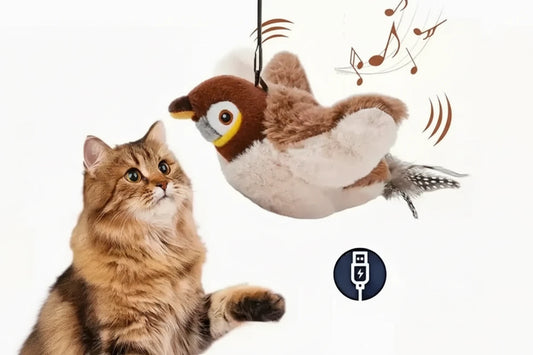 Oiseau Interactif Rechargeable
