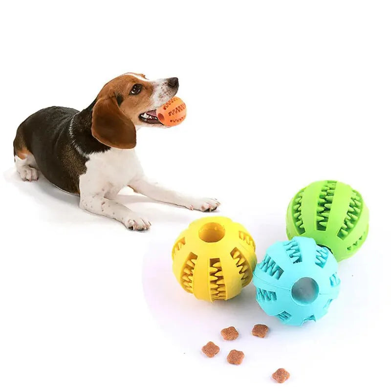 Balle Interactive et Distributrice de Friandises pour chien