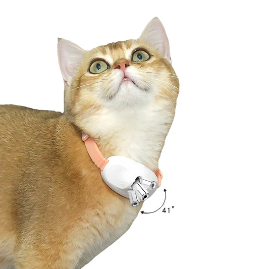 Collier Laser Automatique pour Chat