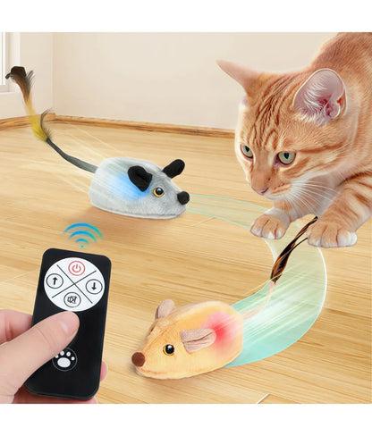 Souris Électronique Interactive